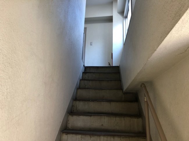 マンシオン樹ビル-階段