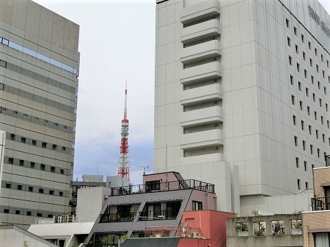 marumoto芝公園　